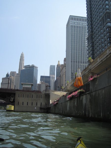 KayakChicagoRiver071412-3886.jpg - Kayak Chicago River - Goose Island to Michigan Ave