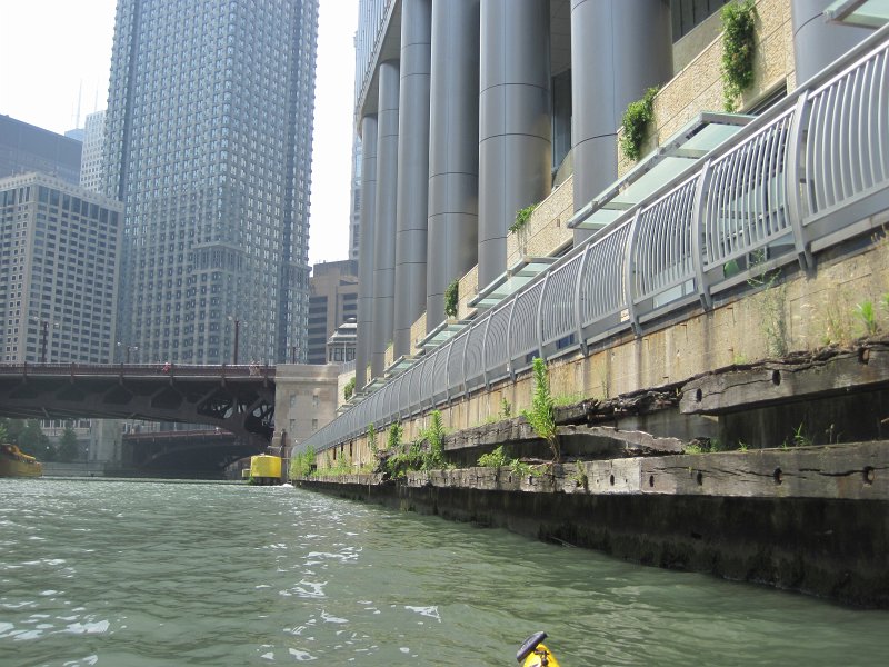 KayakChicagoRiver071412-3912.jpg - Kayak Chicago River - Goose Island to Michigan Ave