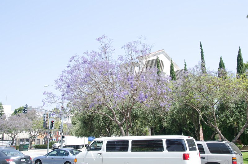 LosAngeles060112-1575.jpg - City Hall, Culver City