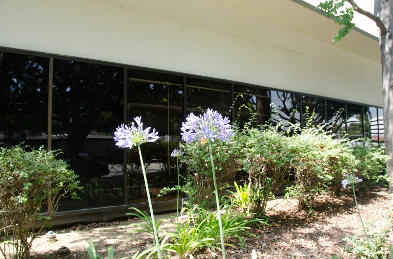 LosAngeles060112-1605.jpg - Veterans Memorial Building