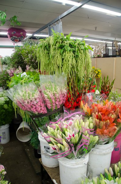 LosAngeles060112-1806.jpg - Flower Market