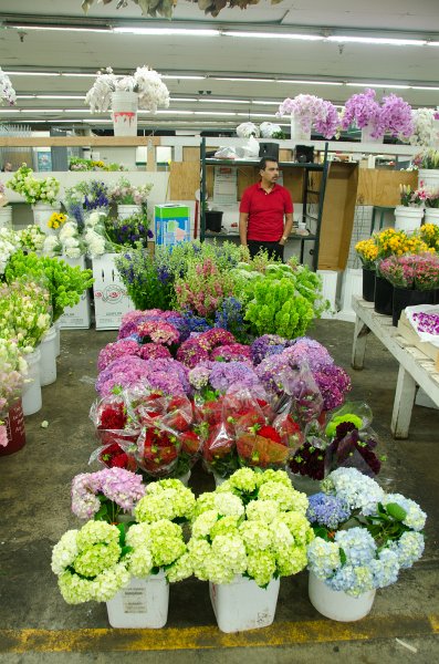 LosAngeles060112-1812.jpg - Flower Market