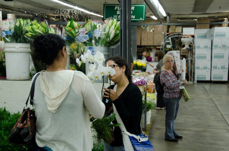 LosAngeles060112-1816.jpg - Flower Market