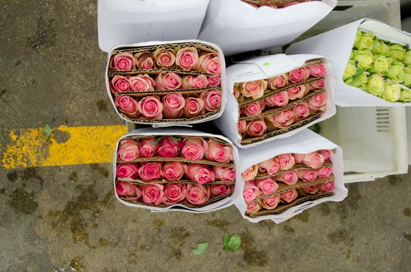LosAngeles060112-1821.jpg - Flower Market