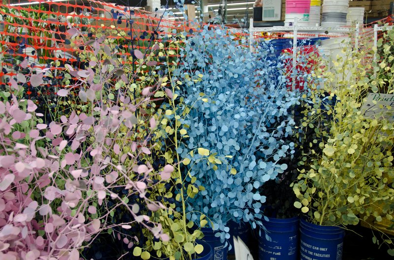 LosAngeles060112-1827.jpg - Flower Market