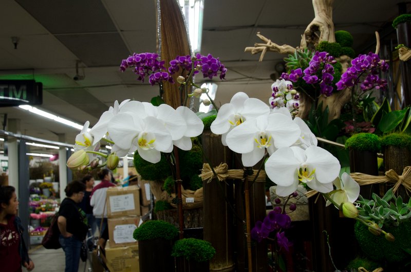 LosAngeles060112-1835.jpg - Flower Market