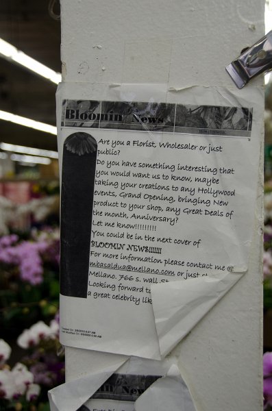LosAngeles060112-1849.jpg - Flower Market