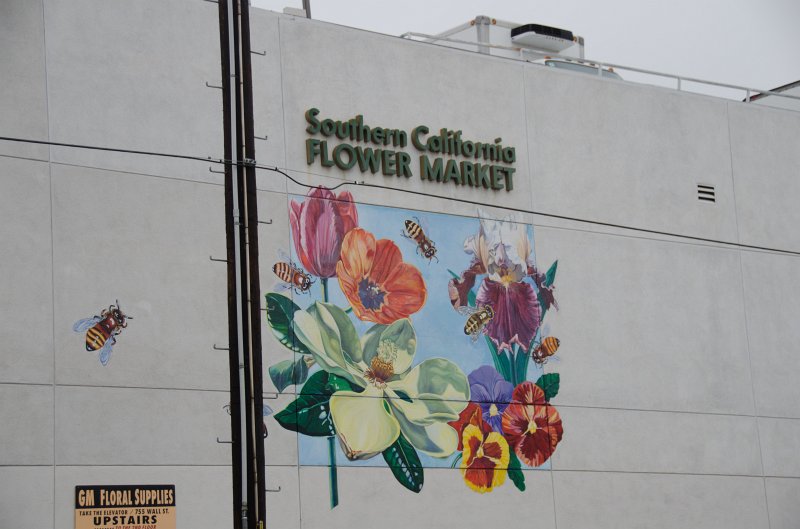 LosAngeles060112-1864.jpg - Flower Market