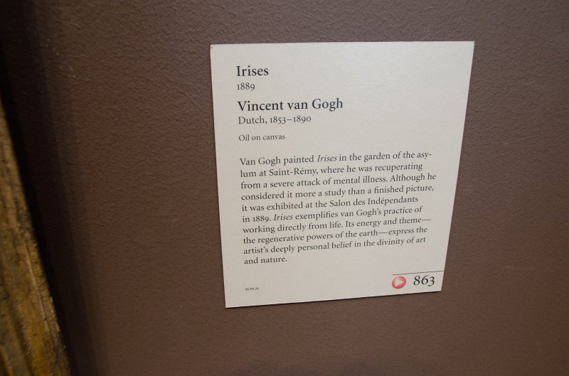 LosAngeles060112-2049.jpg - "Irises," painting by Vincent Van Gogh, 1889