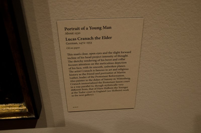 LosAngeles060112-2111.jpg - "Portrait of a Young Man," oil on paper work by Lucas Cranach the Elder, 1530