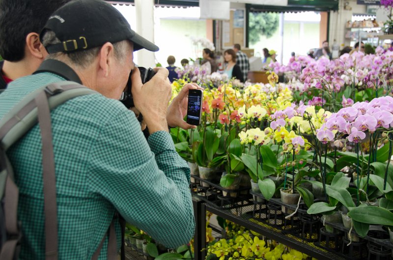 LosAngeles060112-1855.jpg - Los Angeles Flower Market