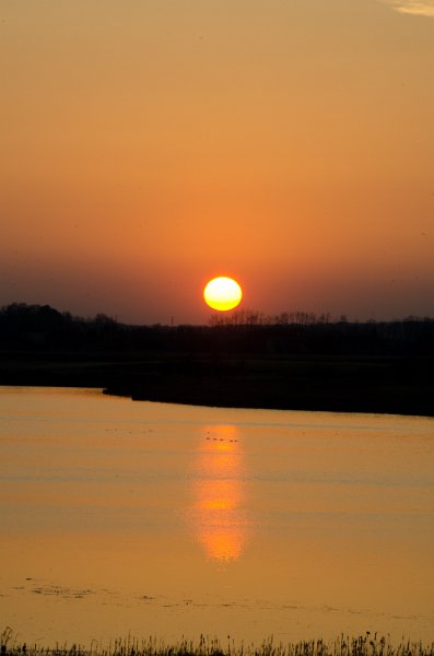 NelsonLake031612-9321.jpg - Sun setting over Nelson Lake