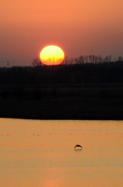 NelsonLake031612-9328.jpg - Sun setting over Nelson Lake