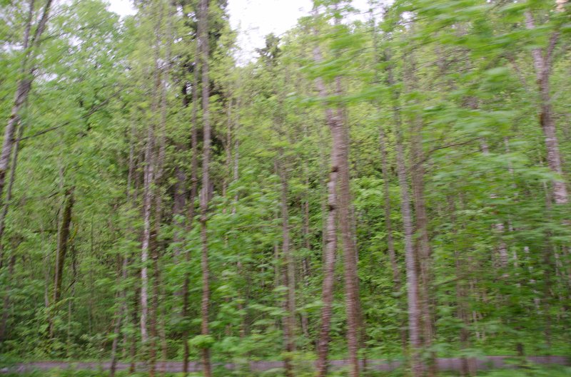 Neuschwanstein051312-0883.jpg - Driving to Hohenschwangau