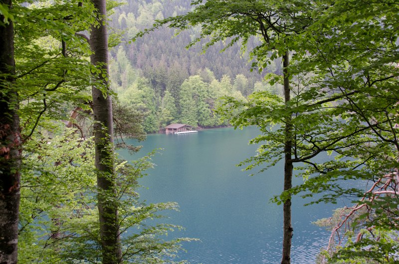 Neuschwanstein051312-0961.jpg - Alpsee Lake