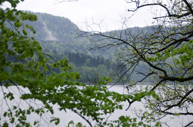 Neuschwanstein051312-0969.jpg - Alpsee Lake