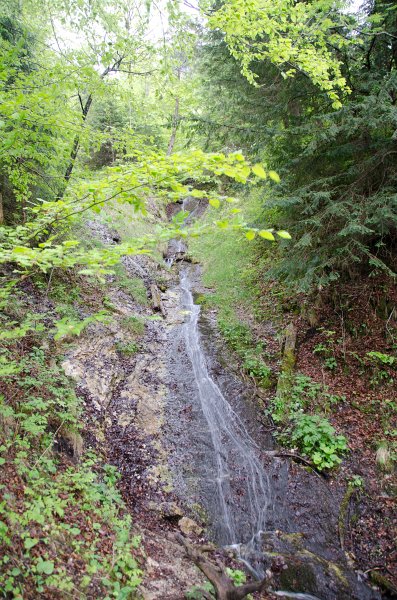 Neuschwanstein051312-1052.jpg - Walking down the trail from Neuschwanstein to  Hohenschangau