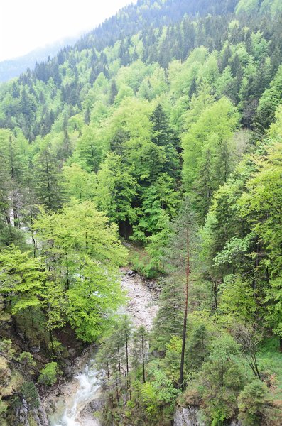 Neuschwanstein051312-0996.jpg - Waterfall at Marienbrücke Bridge over Pöllatschlucht Gorge