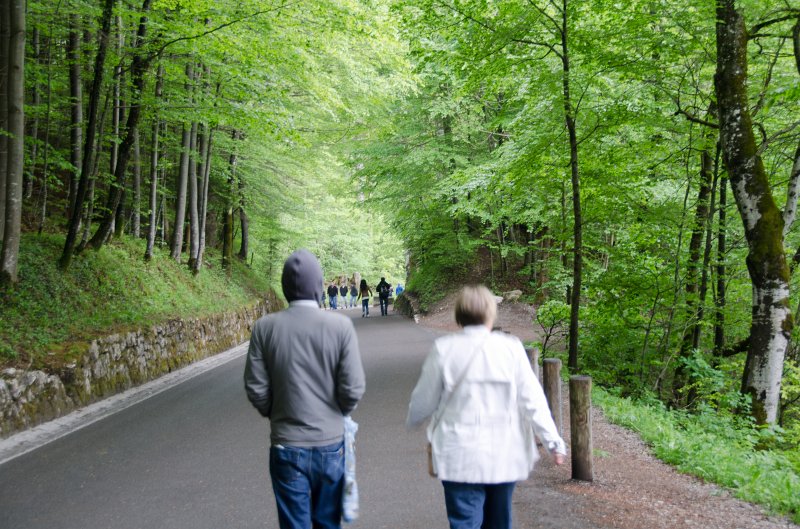 Neuschwanstein051312-1053.jpg - Walking down the trail from Neuschwanstein to  Hohenschangau