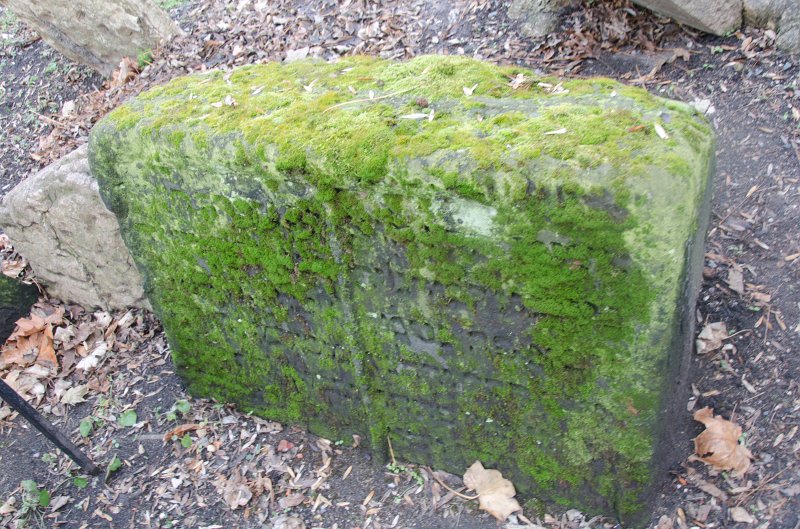 Prague012312-8515.jpg - Old Jewish Cemetery / Stary zidovsky  Hřbitov
