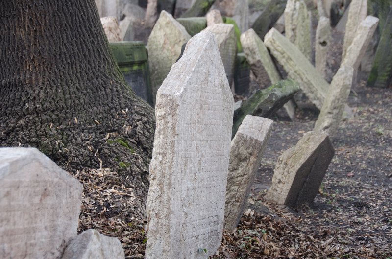 Prague012312-8519.jpg - Old Jewish Cemetery / Stary zidovsky  Hřbitov