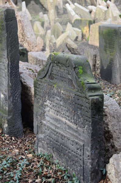 Prague012312-8521.jpg - Old Jewish Cemetery / Stary zidovsky  Hřbitov