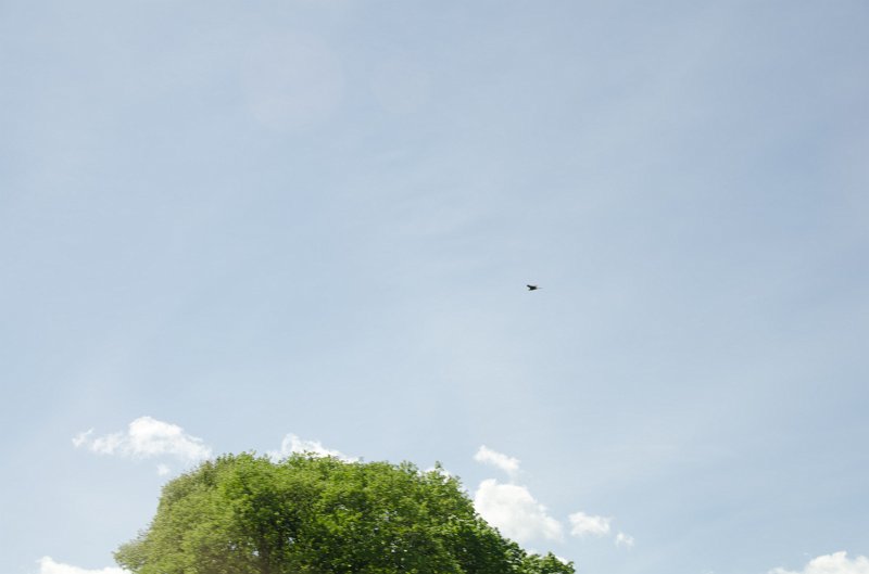 Bavaria051012-0383.jpg - Driving from Munich to Salzburg