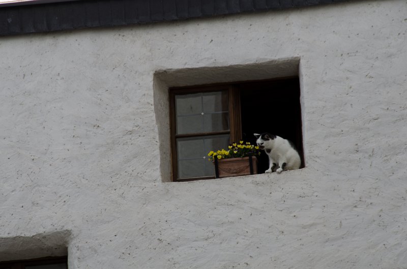 Salzburg051012-0505.jpg - Festung Hohensalzburg