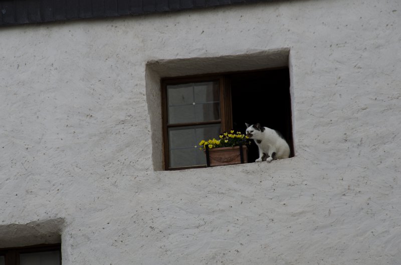 Salzburg051012-0506.jpg - Festung Hohensalzburg