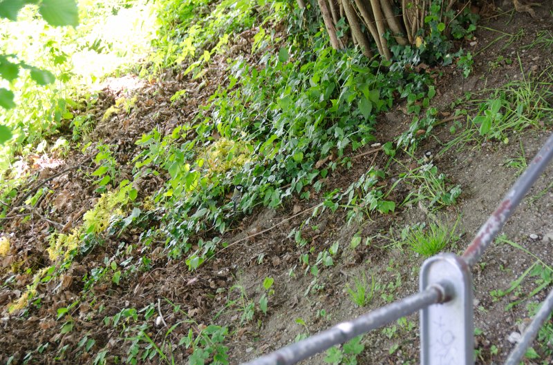 Salzburg051012-0683.jpg - Stairway upto St. Augustine's Church