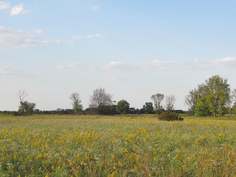SpringbrookBike091512-4127.jpg - Biking Springbrook Forest Preserve