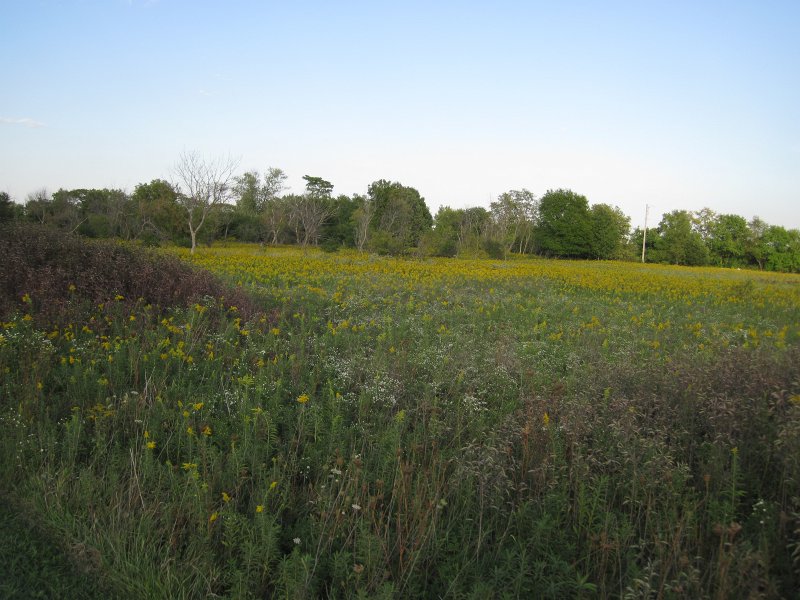 SpringbrookBike091512-4129.jpg - Biking Springbrook Forest Preserve