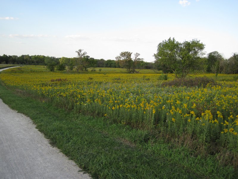 SpringbrookBike091512-4130.jpg - Biking Springbrook Forest Preserve
