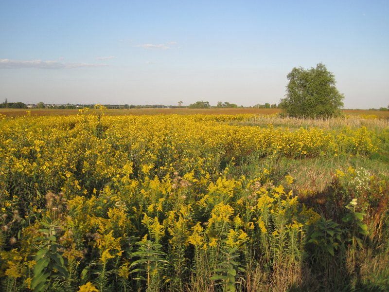 SpringbrookBike091512-4144.jpg - Biking Springbrook Forest Preserve