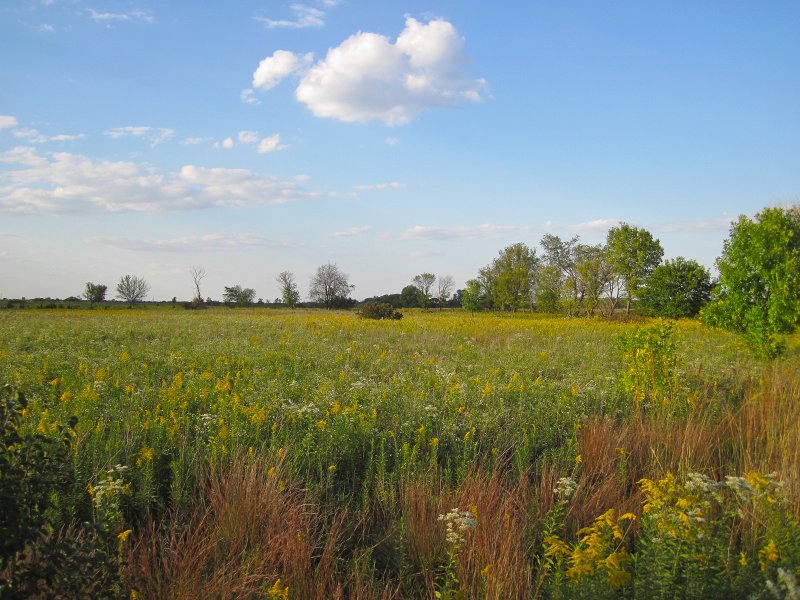 SpringbrookBike091512-4128.jpg - Biking Springbrook Forest Preserve