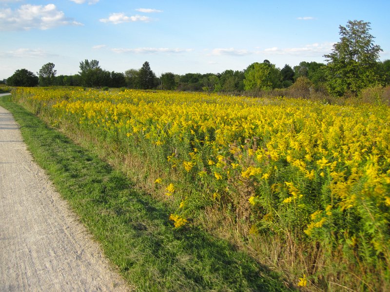 SpringbrookBike091512-4135.jpg - Biking Springbrook Forest Preserve