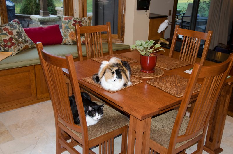 ThanksgivingNov2012-4160.jpg - Thanksgiving 2012