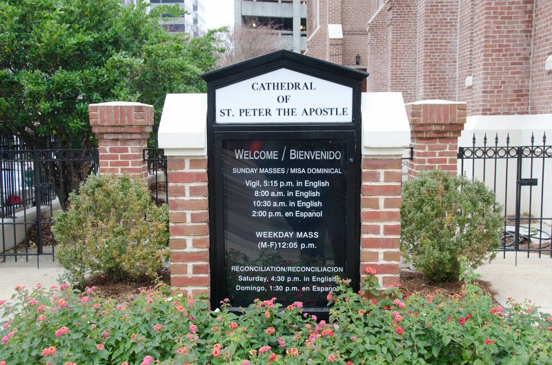 Jackson112712-4319.jpg - Cathedral of St. Peter the Apostle