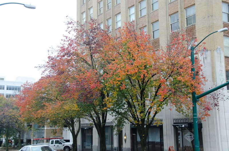 Jackson112712-4327.jpg - Walking historic downtown Jackson, MS