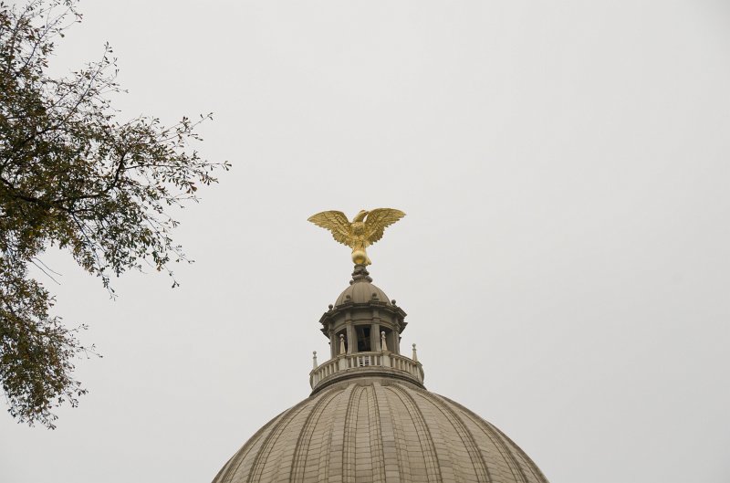 Jackson112712-4258.jpg - Eagle on Capitol Dome.