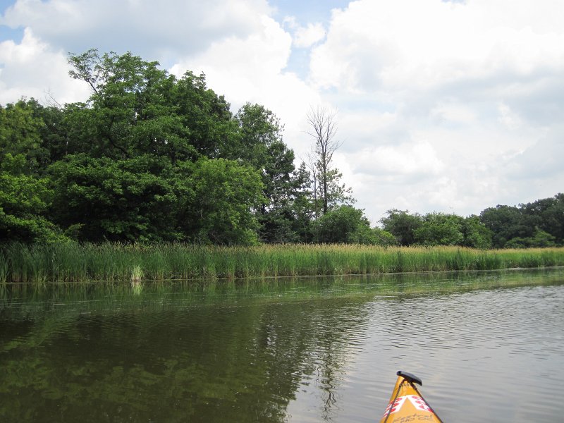BusseKayak070413-5405.jpg - Marsh area North of Higgins Rd