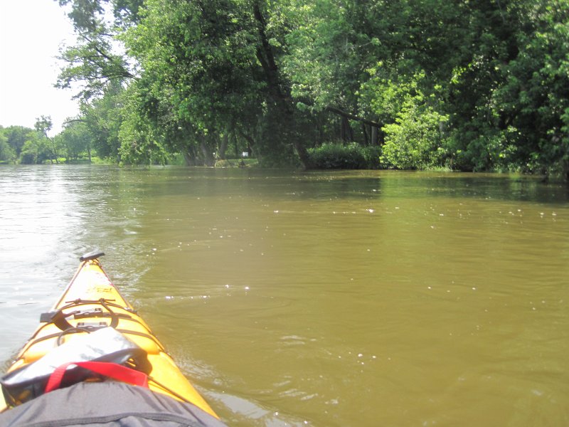 FoxRiverYorkvilleMillington070513-5452.jpg - Approaching Lois Landing, foreground right.  Our takeout point