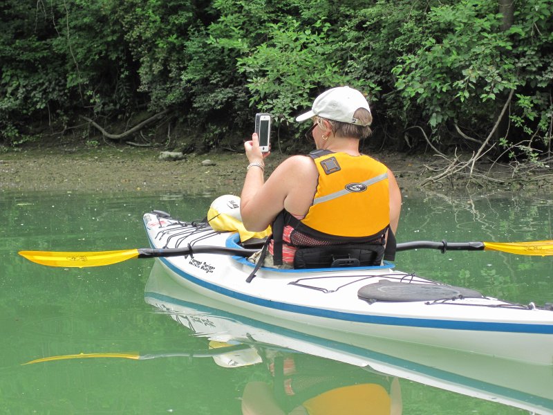 IMG_5511.jpg - Cathie taking pictures