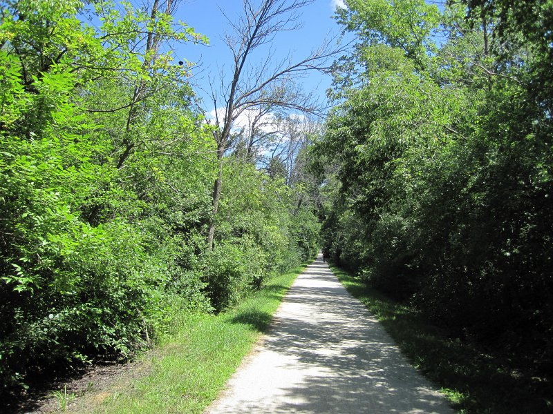 PrairiePath080313-5629.jpg - Heading north east along the Illinois Bike Prairie Path Warrenville to Wheaton. Just north of Wheaton-Warrenville High School
