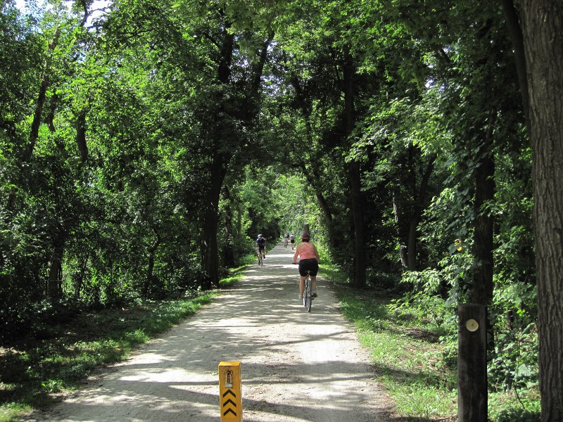PrairiePathFoxRiver080413-5658.jpg - Bike Prairie Path: Wheaton to West Chicago to Fox River to Fermi Lab to Warrenville
