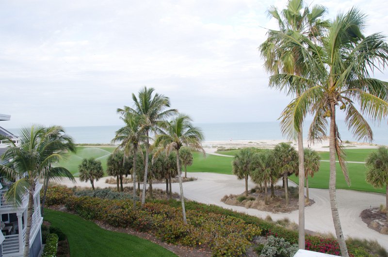 Captiva041813-6166.jpg - View from Lands End room 1640 of Osprey flying between nest, palm trees, and Gulf