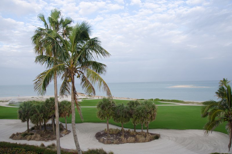 Captiva041813-6167.jpg - View from Lands End room 1640 of Osprey flying between nest, palm trees, and Gulf