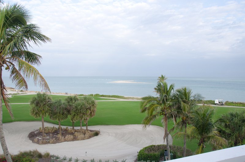 Captiva041813-6168.jpg - View from Lands End room 1640 of Osprey flying between nest, palm trees, and Gulf