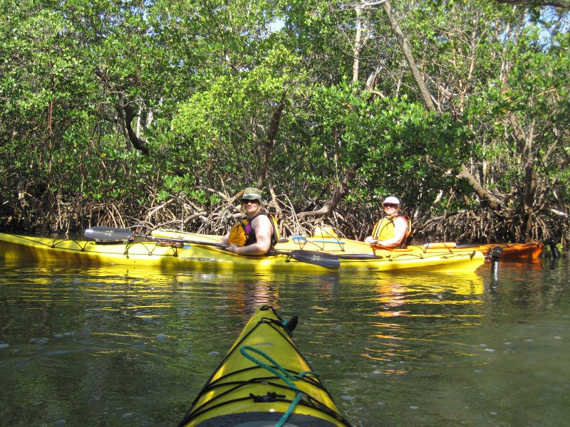 Captiva041813-5013.jpg - Buck Key Mangrove Trail. Kayaking around Buck key, then took mangrove trail.  Went South 2/3 of the way down Roosevelt Channel then headed back.