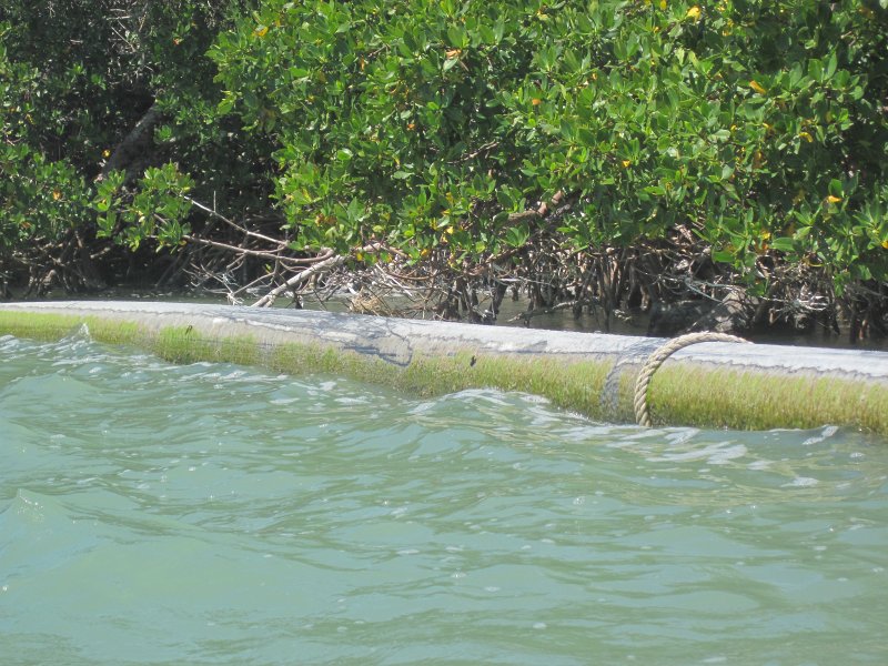Captiva041813-4811.jpg - Dredging Pipe. Kayaking Around Buck Key